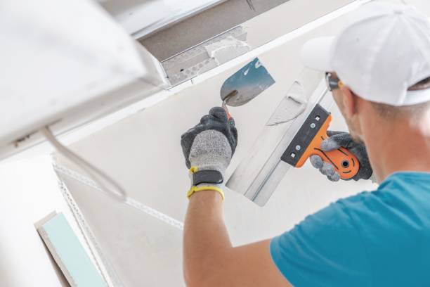 Trusted Enlow, PA Mold Removal Experts
